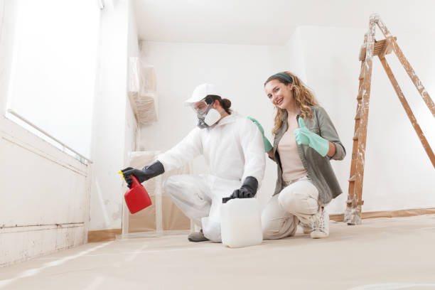 Tilden, NE Mold Inspection, Removal & Remediation Company